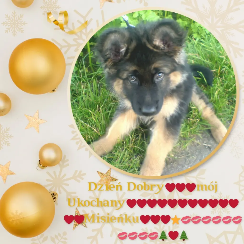 Condolence image of Dzień Dobry❤️❤️❤️mój Ukochany❤️❤️❤️❤️❤️❤️❤️Misieńku❤️❤️❤️
