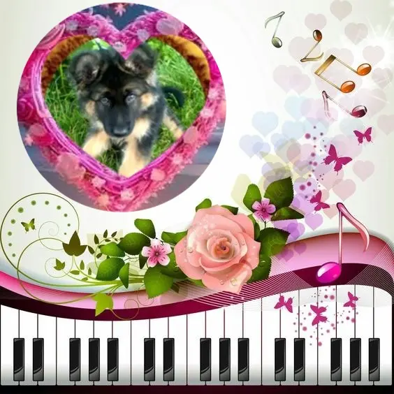 Condolence image of Dzień Dobry❤️❤️❤️mój Ukochany❤️❤️❤️❤️❤️❤️❤️Misieńku❤️❤️❤️