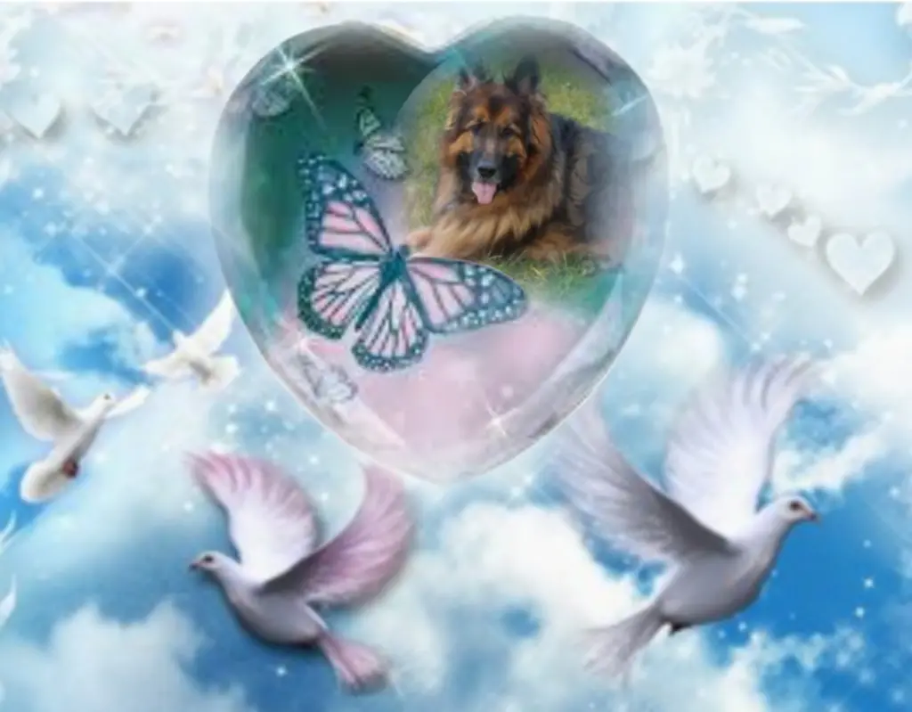 Condolence image of Niedziela...295 tygodni bez Ciebie❤️ kochany Misieńku❤️...