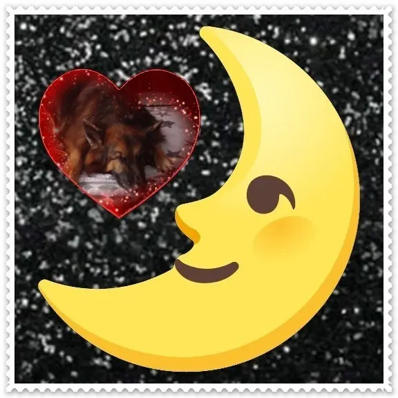Condolence image of Dobrej Nocki❤️❤️❤️❤️❤️❤️mój Ukochany❤️❤️❤️❤️❤️❤️Misieńku❤️❤️❤️