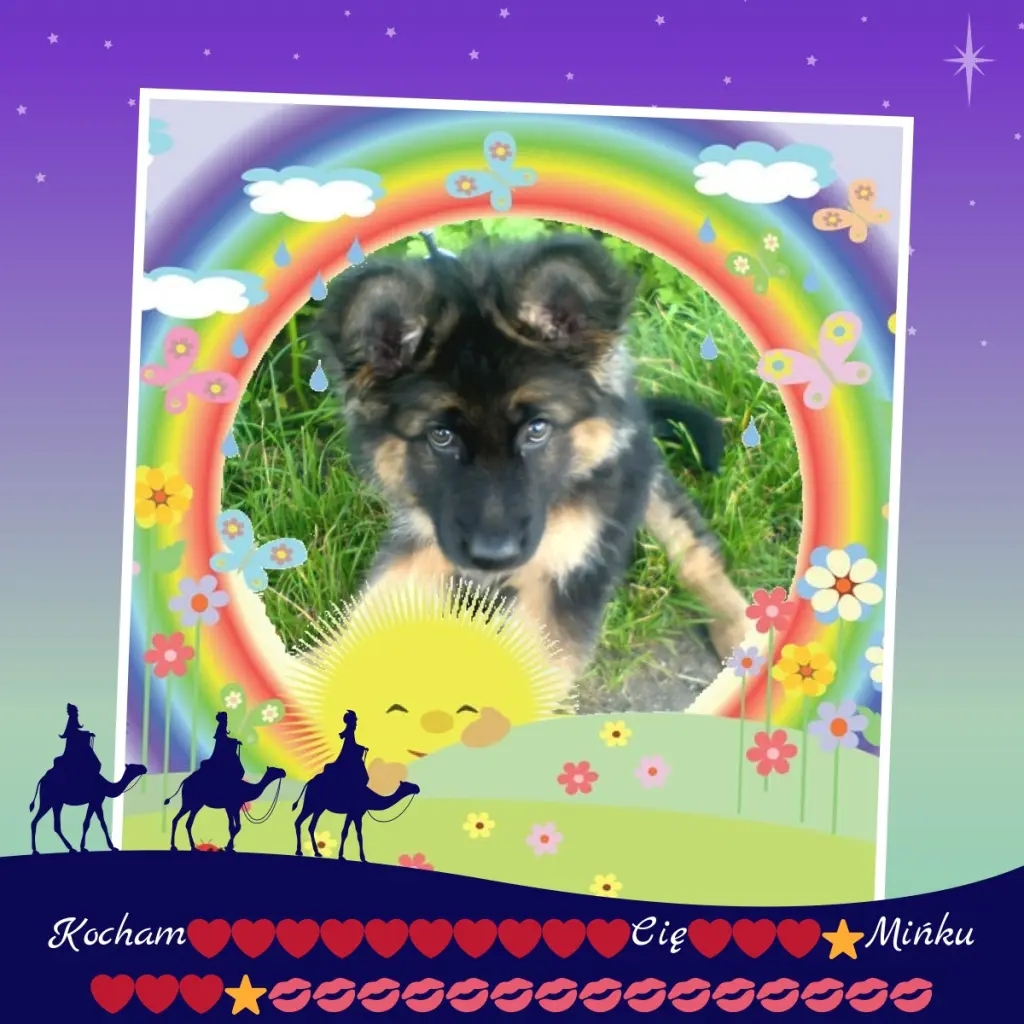 Condolence image of Kocham❤️❤️❤️❤️❤️❤️❤️❤️❤️❤️❤️❤️❤️❤️❤️❤️Cię❤️❤️❤️
