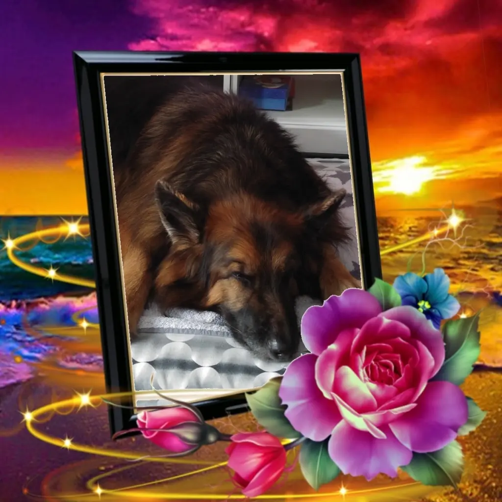 Condolence image of Dobrej Nocki❤️❤️❤️mój Maluszku❤️❤️❤️⭐️