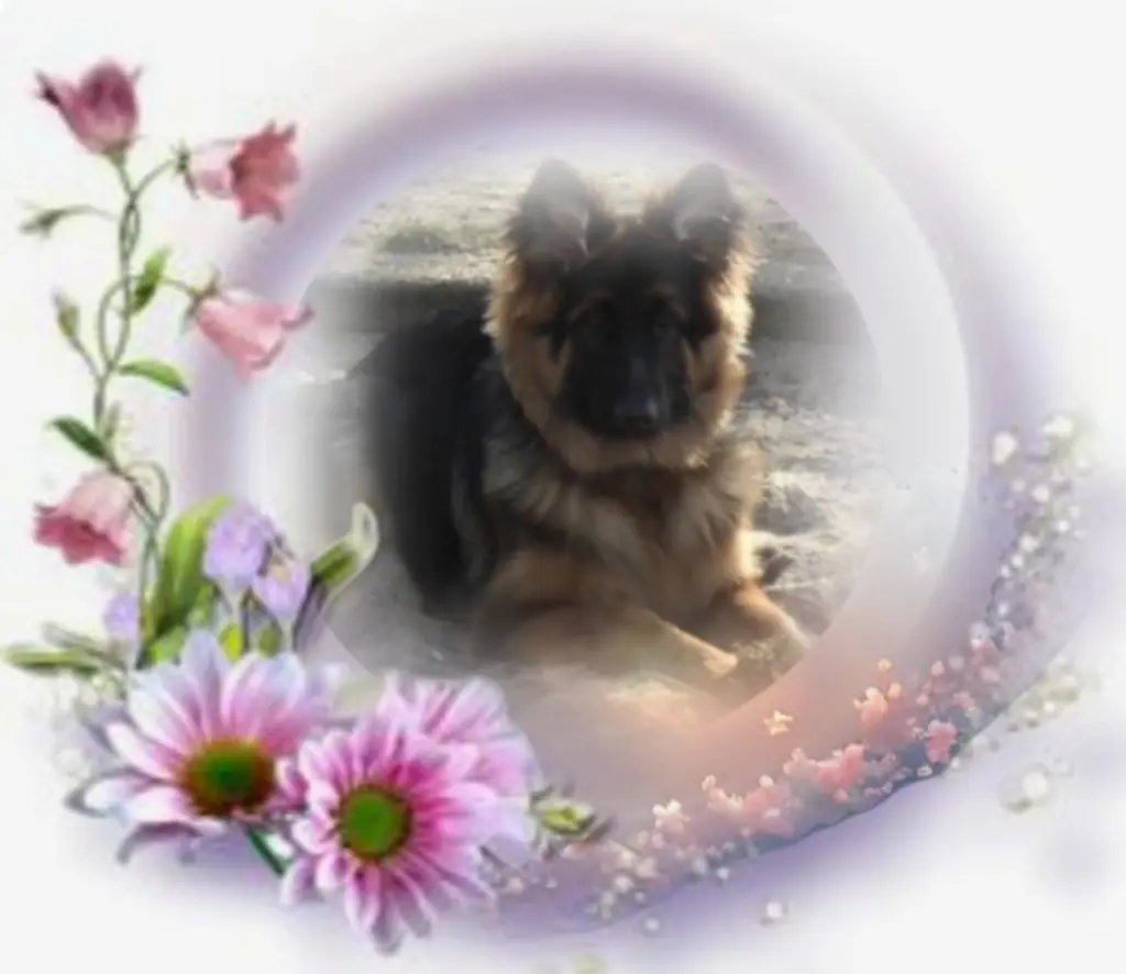 Condolence image of Niedziela...296 tygodni bez Ciebie❤️ kochany Misieńku❤️...