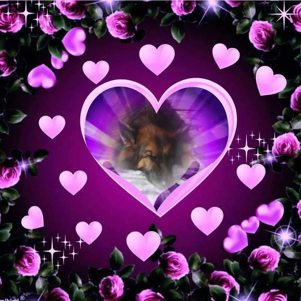 Condolence image of Dobrej Nocki❤️❤️❤️❤️❤️❤️mój Ukochany❤️❤️❤️❤️❤️❤️Misieńku❤️❤️❤️