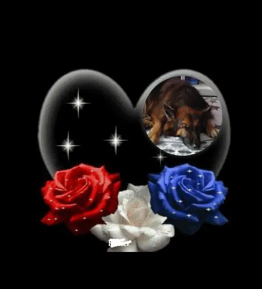 Condolence image of Dobrej Nocki❤️❤️❤️❤️❤️❤️mój Ukochany❤️❤️❤️❤️❤️❤️Misieńku❤️❤️❤️