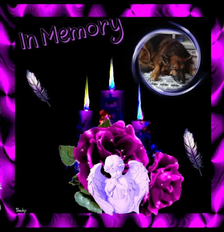 Condolence image of Dobrej Nocki❤️❤️❤️❤️❤️❤️mój Ukochany❤️❤️❤️❤️❤️❤️Misieńku❤️❤️❤️