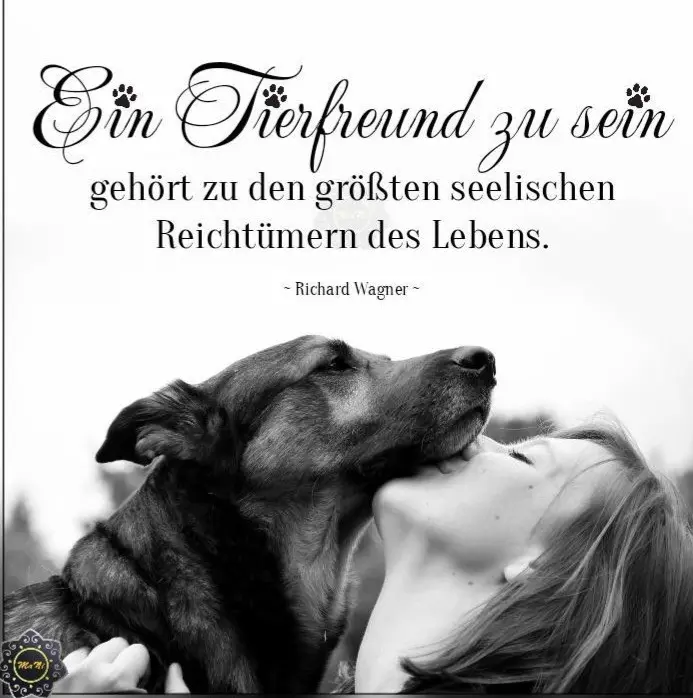 Condolence image of Claudia mit ASKO❤️