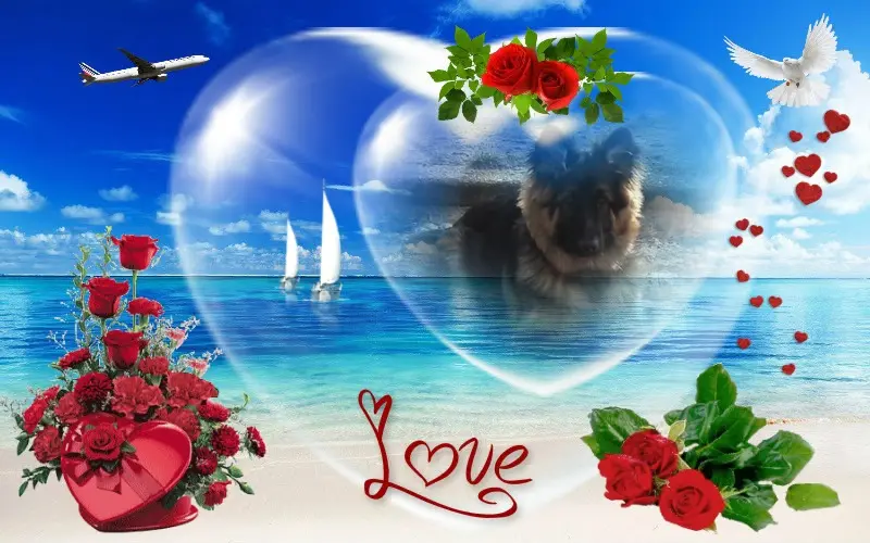 Condolence image of Dzień Dobry❤️❤️❤️mój Ukochany❤️❤️❤️❤️❤️❤️❤️Misieńku❤️❤️❤️