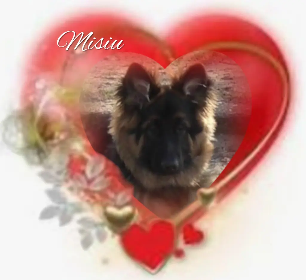 Condolence image of Niedziela...298 tygodni bez Ciebie❤️ kochany Misieńku❤️...