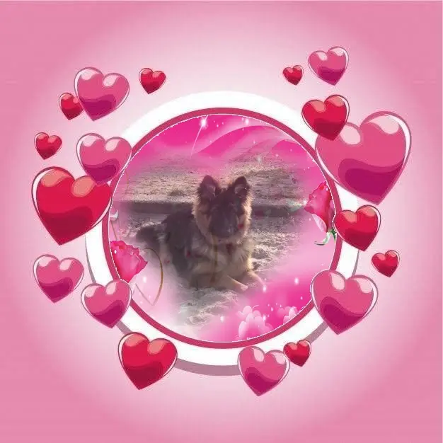Condolence image of Dzień Dobry❤️❤️❤️mój Ukochany❤️❤️❤️❤️❤️❤️❤️Misieńku❤️❤️❤️