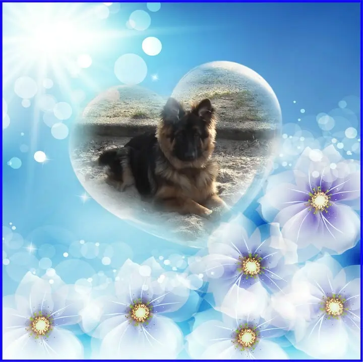 Condolence image of Dzień Dobry❤️❤️❤️mój Ukochany❤️❤️❤️❤️❤️❤️❤️Misieńku❤️❤️❤️