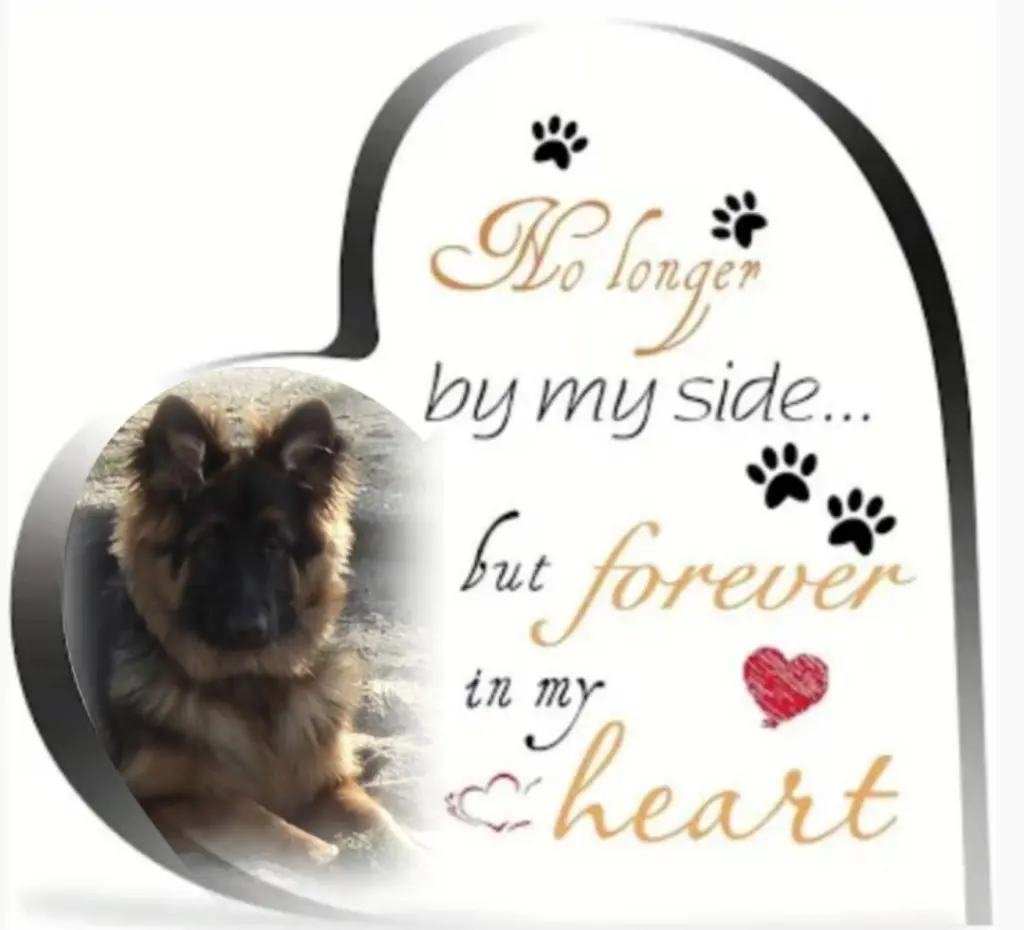 Condolence image of Niedziela...299 tygodni bez Ciebie❤️ kochany Misieńku❤️