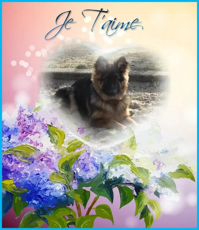 Condolence image of Dzień Dobry❤️❤️❤️mój Ukochany❤️❤️❤️❤️❤️❤️❤️Misieńku❤️❤️❤️