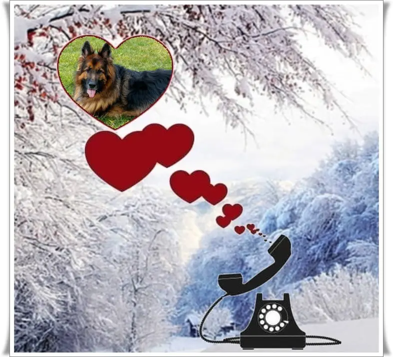Condolence image of Dzień Dobry❤️❤️❤️mój Ukochany❤️❤️❤️❤️❤️❤️❤️Misieńku❤️❤️❤️