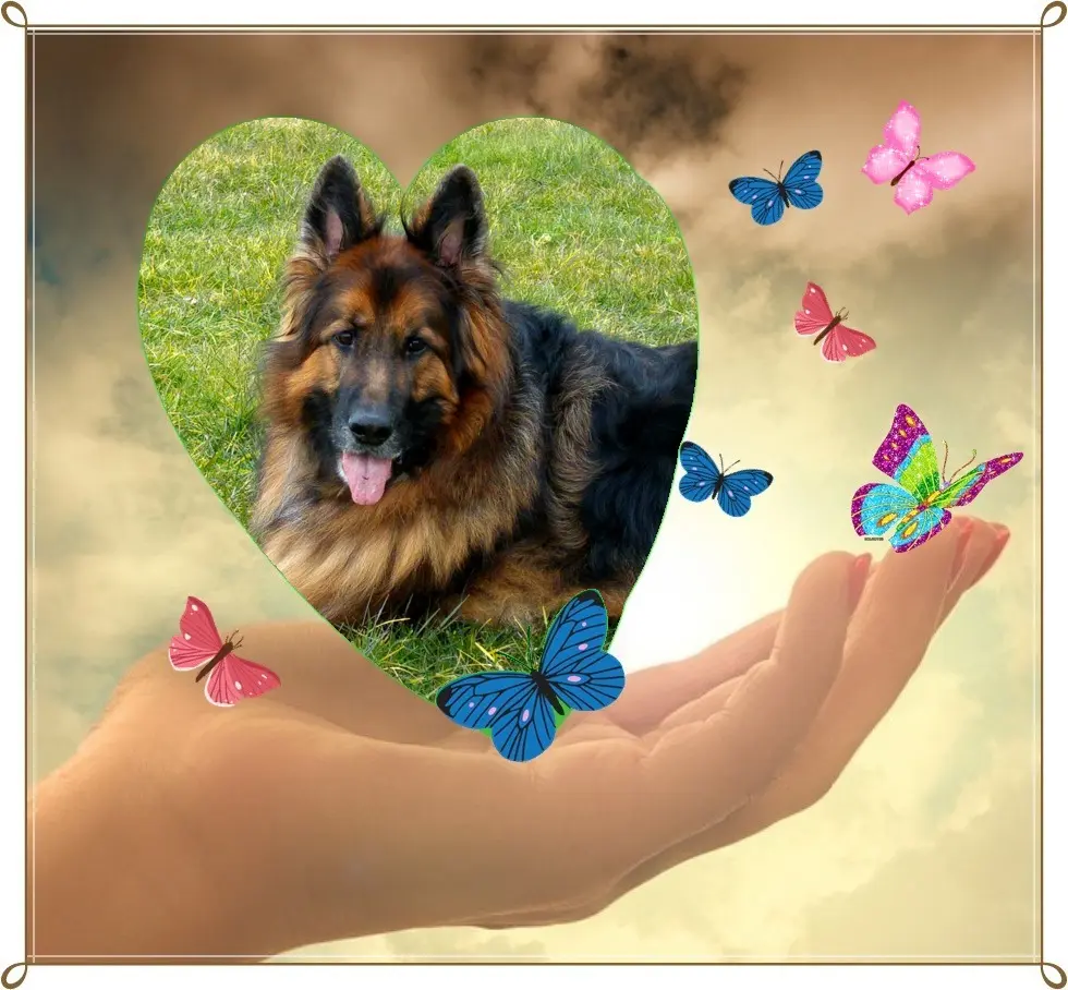 Condolence image of Dzień Dobry❤️❤️❤️mój Ukochany❤️❤️❤️❤️❤️❤️❤️Misieńku❤️❤️❤️