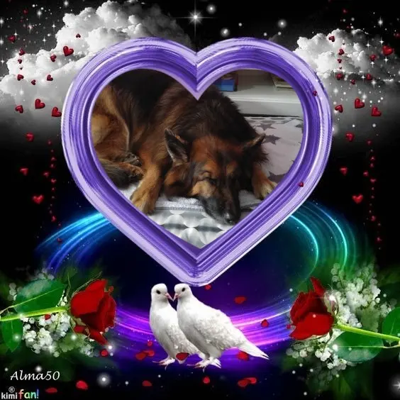 Condolence image of Dobrej Nocki❤️❤️❤️❤️❤️❤️mój Ukochany❤️❤️❤️❤️❤️❤️Misieńku❤️❤️❤️