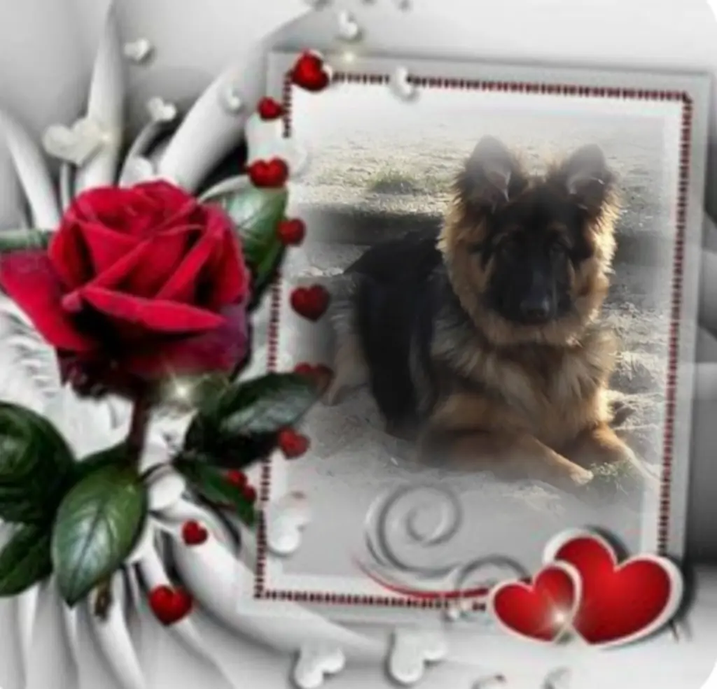Condolence image of Niedziela...300 tygodni bez Ciebie❤️ kochany Misieńku❤️...