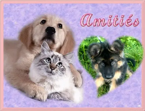 Condolence image of Dzień Dobry❤️❤️❤️mój Ukochany❤️❤️❤️❤️❤️❤️❤️Misieńku❤️❤️❤️