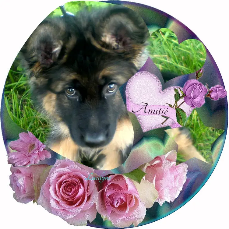 Condolence image of Dzień Dobry❤️❤️❤️mój Ukochany❤️❤️❤️❤️❤️❤️❤️Misieńku❤️❤️❤️