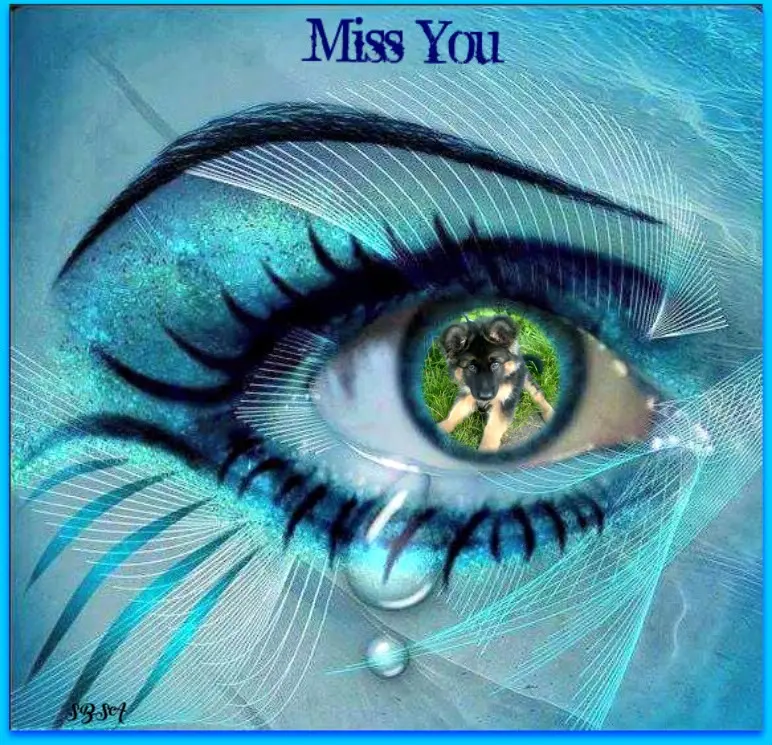 Condolence image of Kocham❤️❤️❤️❤️❤️❤️❤️❤️❤️❤️❤️❤️❤️❤️❤️❤️Cię❤️❤️❤️