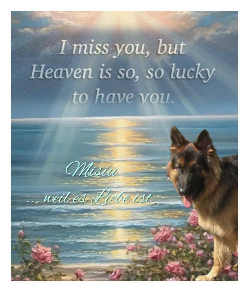 Condolence image of Sehnsucht ❤️