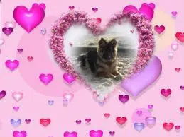 Condolence image of Dzień Dobry❤️❤️❤️mój Ukochany❤️❤️❤️❤️❤️❤️❤️Misieńku❤️❤️❤️
