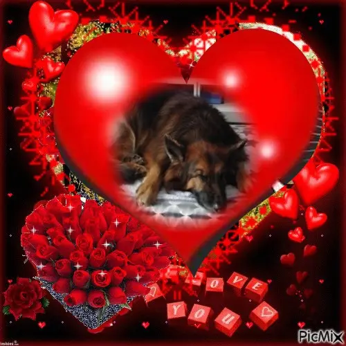 Condolence image of Dobrej Nocki❤️❤️❤️❤️❤️❤️mój Ukochany❤️❤️❤️❤️❤️❤️Misieńku❤️❤️❤️