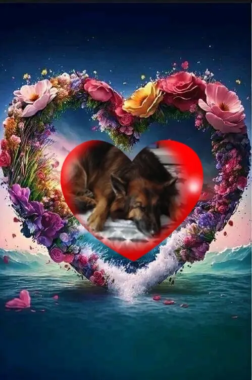 Condolence image of Dobrej Nocki❤️❤️❤️❤️❤️❤️mój Ukochany❤️❤️❤️❤️❤️❤️Misieńku❤️❤️❤️
