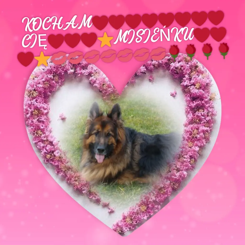 Condolence image of Dzień Dobry❤️❤️❤️mój Ukochany❤️❤️❤️❤️❤️❤️❤️Misieńku❤️❤️❤️