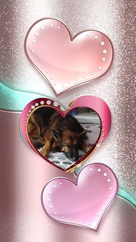 Condolence image of Kochany❤️❤️❤️❤️❤️❤️❤️Misieńku❤️❤️❤️⭐️