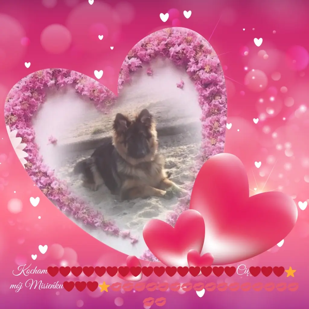 Condolence image of Kochany❤️❤️❤️❤️❤️❤️❤️❤️Misiu❤️❤️❤️⭐️