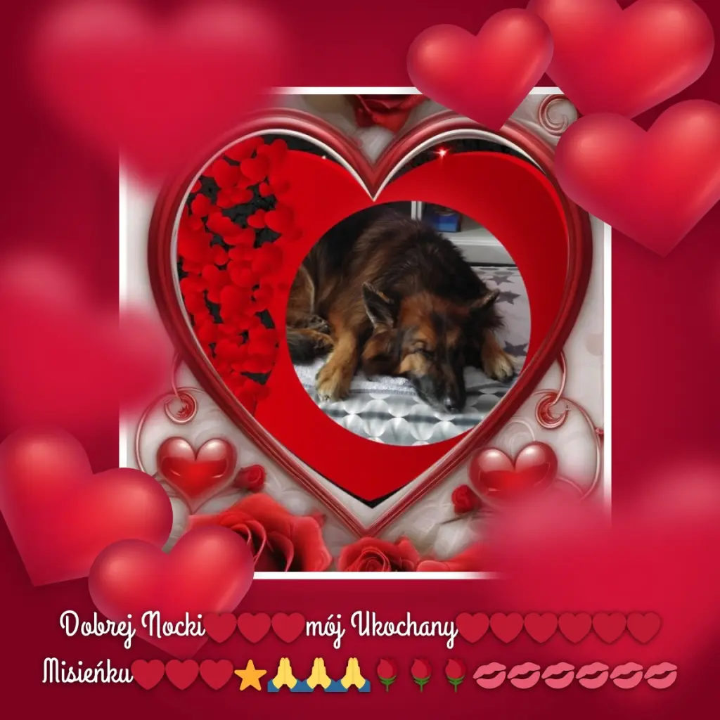 Condolence image of Dobrej Nocki❤️❤️❤️❤️❤️❤️mój Ukochany❤️❤️❤️❤️❤️❤️Misieńku❤️❤️❤️