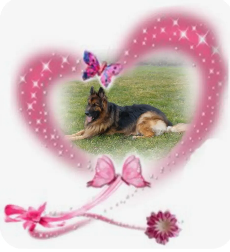 Condolence image of Niedziela...302 tygodnie bez Ciebie♥️ kochany Misieńku♥️... 