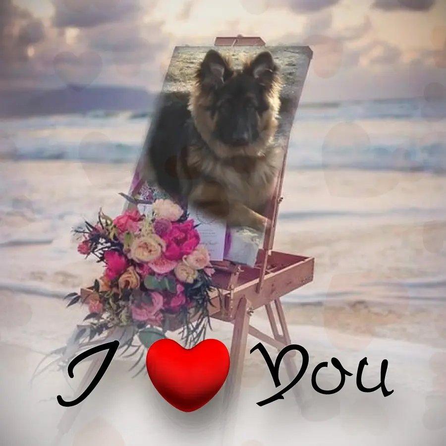 Condolence image of Dzień Dobry❤️❤️❤️mój Ukochany❤️❤️❤️❤️❤️❤️❤️Misieńku❤️❤️❤️