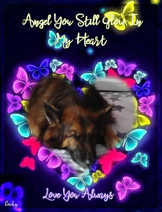 Condolence image of Dobrej Nocki❤️❤️❤️❤️❤️❤️mój Ukochany❤️❤️❤️❤️❤️❤️Misieńku❤️❤️❤️