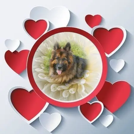 Condolence image of Dzień Dobry❤️❤️❤️mój Ukochany❤️❤️❤️❤️❤️❤️❤️Misieńku❤️❤️❤️