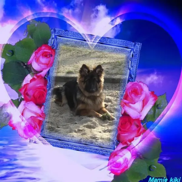 Condolence image of Dzień Dobry❤️❤️❤️mój Ukochany❤️❤️❤️❤️❤️❤️❤️Misieńku❤️❤️❤️