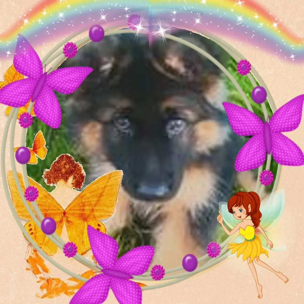 Condolence image of Dzień Dobry❤️❤️❤️mój Ukochany❤️❤️❤️❤️❤️❤️❤️Misieńku❤️❤️❤️
