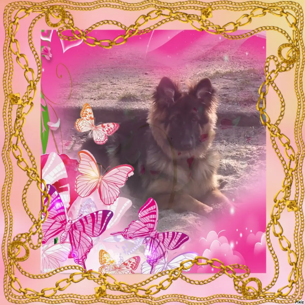 Condolence image of Dzień Dobry❤️❤️❤️mój Ukochany❤️❤️❤️❤️❤️❤️❤️Misieńku❤️❤️❤️