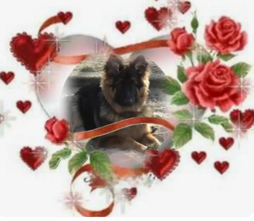 Condolence image of Niedziela...304 tygodnie bez Ciebie♥️ kochany Misieńku♥️...