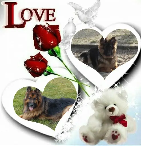 Condolence image of Dzień Dobry❤️❤️❤️mój Ukochany❤️❤️❤️❤️❤️❤️❤️Misieńku❤️❤️❤️