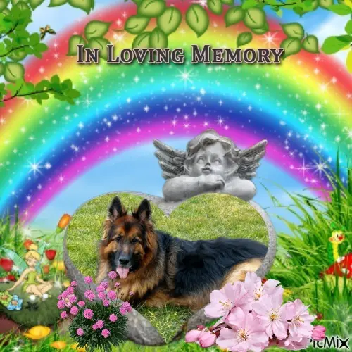 Condolence image of Dzień Dobry❤️❤️❤️mój Ukochany❤️❤️❤️❤️❤️❤️❤️Misieńku❤️❤️❤️