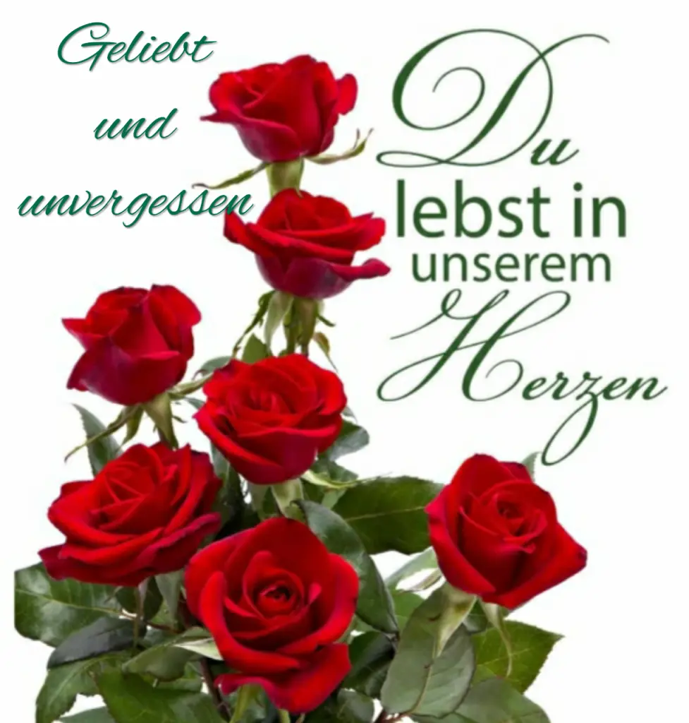 Condolence image of Misiu♥️ geliebt♥️ und unvergessen♥️