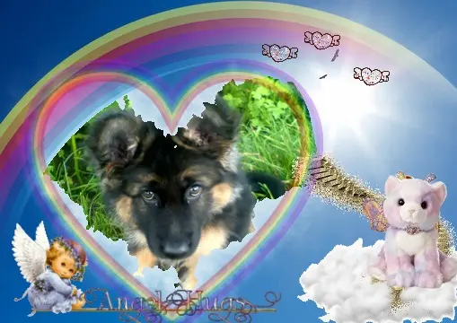 Condolence image of Dzień Dobry❤️❤️❤️mój Ukochany❤️❤️❤️❤️❤️❤️❤️Misieńku❤️❤️❤️