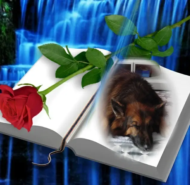 Condolence image of Dobrej Nocki❤️❤️❤️❤️❤️❤️mój Ukochany❤️❤️❤️❤️❤️❤️Misieńku❤️❤️❤️