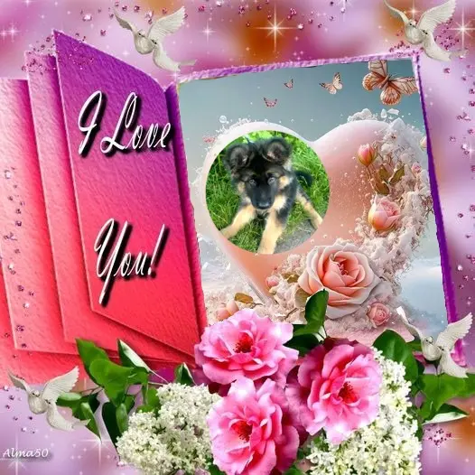 Condolence image of Dzień Dobry❤️❤️❤️mój Ukochany❤️❤️❤️❤️❤️❤️❤️Misieńku❤️❤️❤️