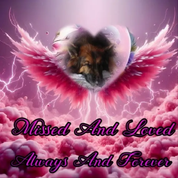 Condolence image of Dobrej Nocki❤️❤️❤️❤️❤️❤️mój Ukochany❤️❤️❤️❤️❤️❤️Misieńku❤️❤️❤️