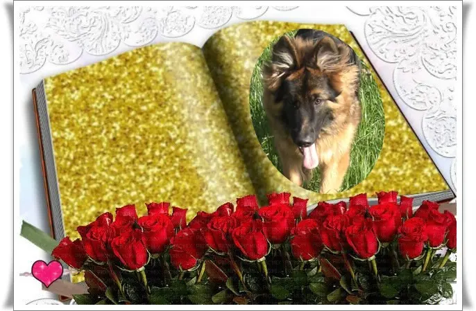 Condolence image of Dobry Wieczór❤️❤️❤️Mińku❤️❤️❤️