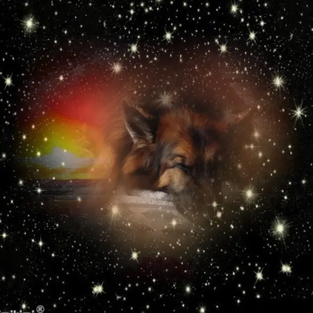 Condolence image of Dobrej Nocki❤️❤️❤️❤️❤️❤️mój Ukochany❤️❤️❤️❤️❤️❤️Misieńku❤️❤️❤️