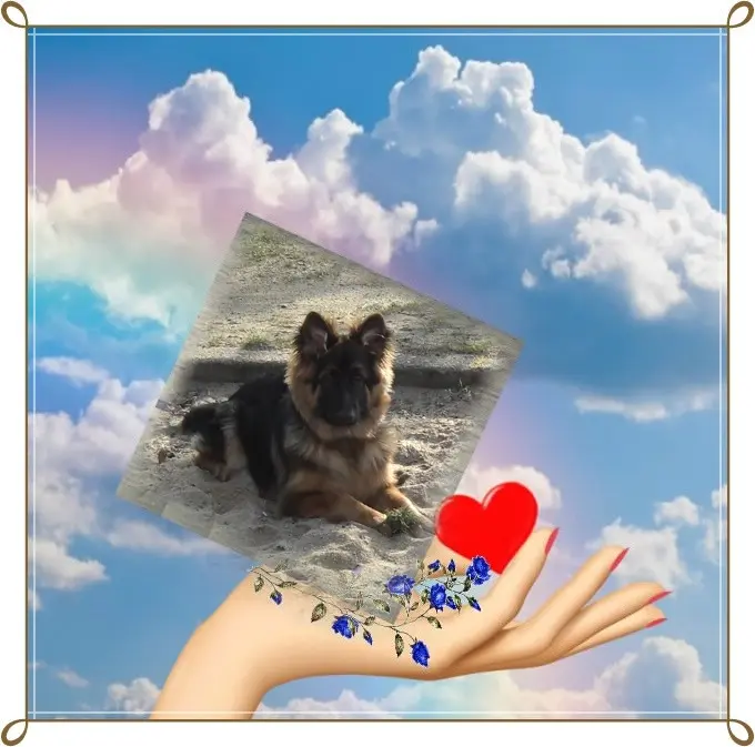 Condolence image of Dzień Dobry❤️❤️❤️mój Ukochany❤️❤️❤️❤️❤️❤️❤️Misieńku❤️❤️❤️